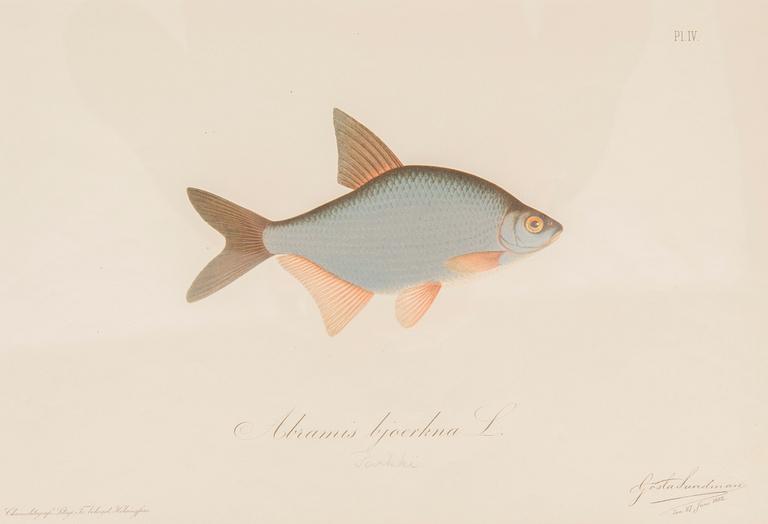 Gösta Sundman, Kromolitografiat, 3 kpl.