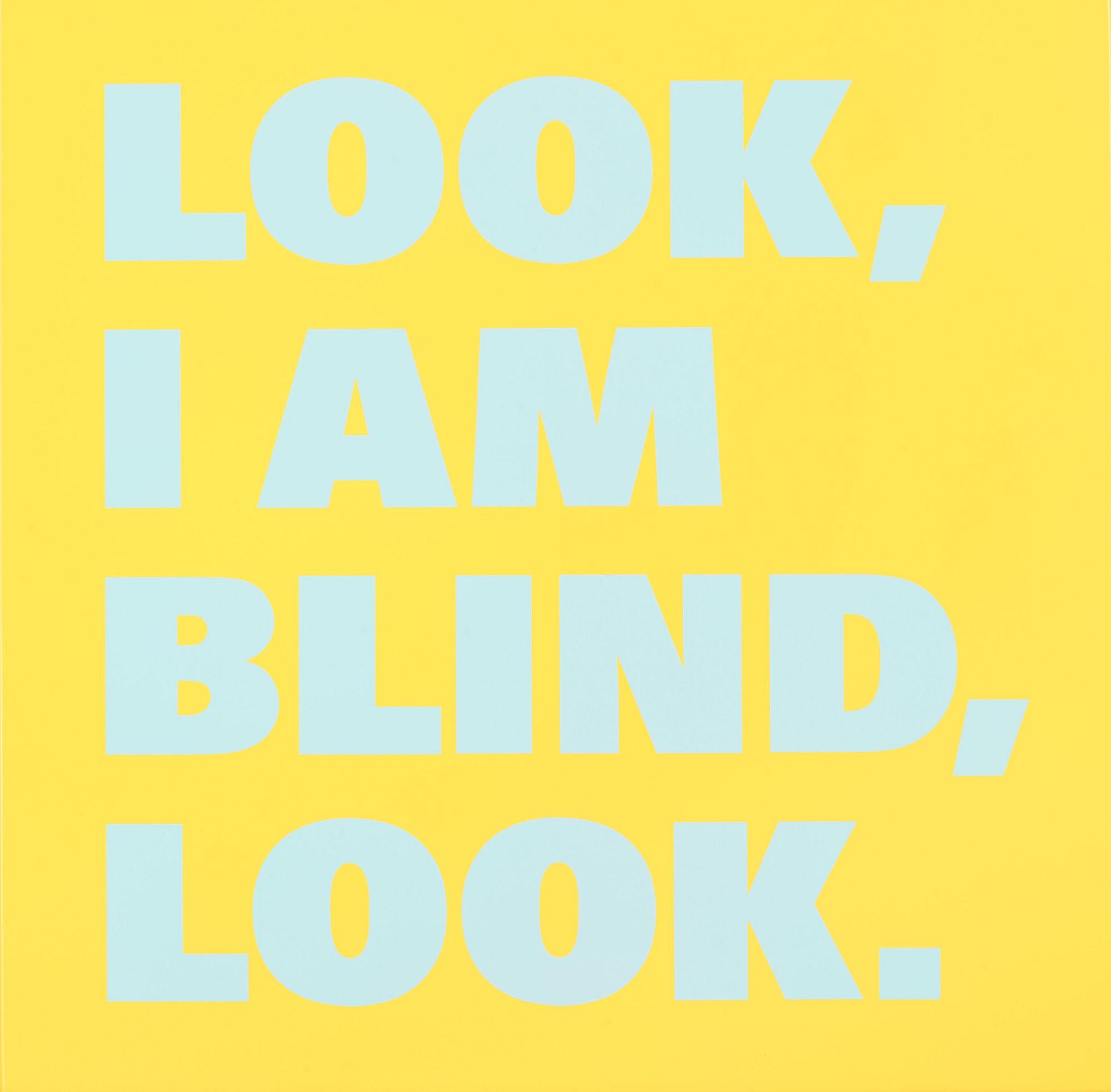 Rémy Zaugg, "Look/I am/Blind/Look (Nr 16)".