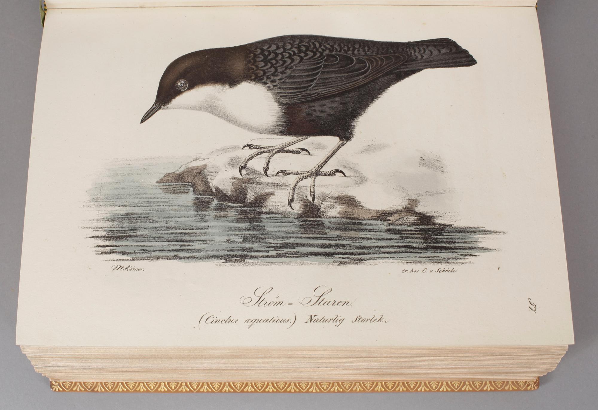 ILLUMINERADE FIGURER TILL SKANDINAVIENS FAUNA MED TEXT UTGIFNE.1-2. S.NILSSON. (Stockholm)& Lund 1832-1840. (2).