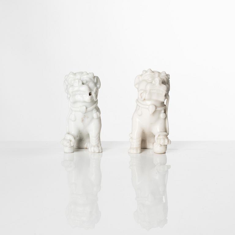 Fohundar, ett par, blanc de chine. Kina, Qingdynastin, Kangxi (1662-1722).
