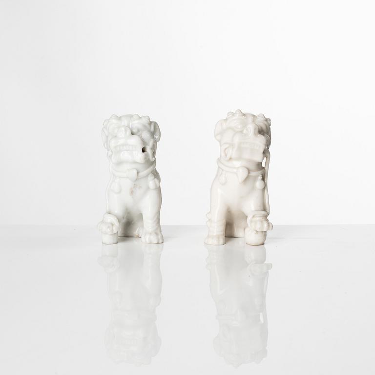 A pair of Chinese blanc de chine figures of buddhist lions, Qing dynasty, Kangxi (1662-1722).