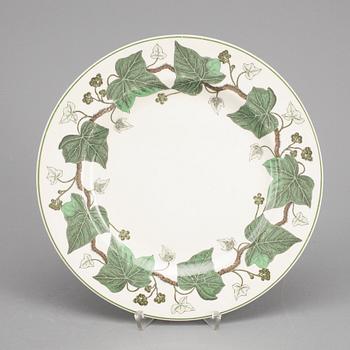 SERVIS, porslin, "Napoleon Ivy", Wedgwood.