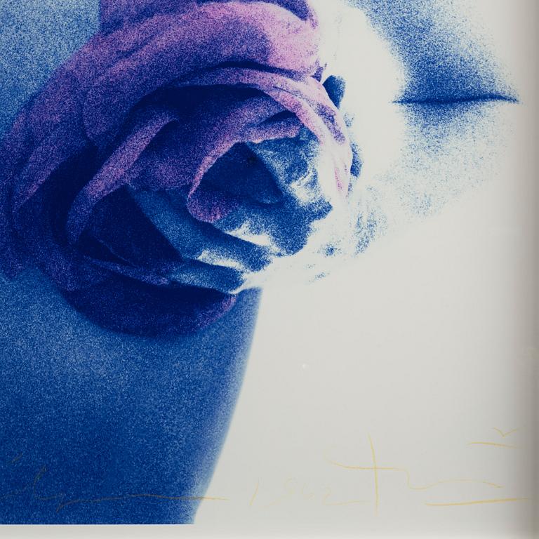 Bert Stern, "Marilyn Roses (from the last sitting)", 1962.