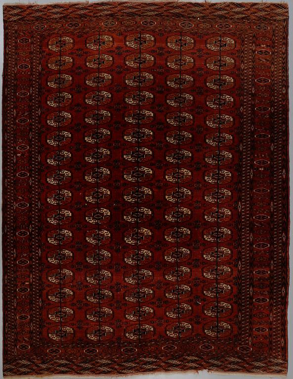 MATTA, Bochara, semiantik, 272 x 225 cm.