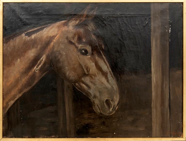 Jonas Åkesson, hästporträtt.