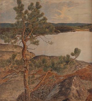 666. Gustaf Fjaestad, Insjölandskap.