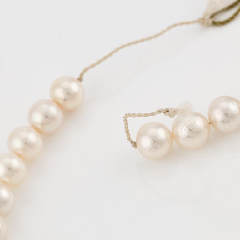 A necklace of cultured pearls without a clasp.