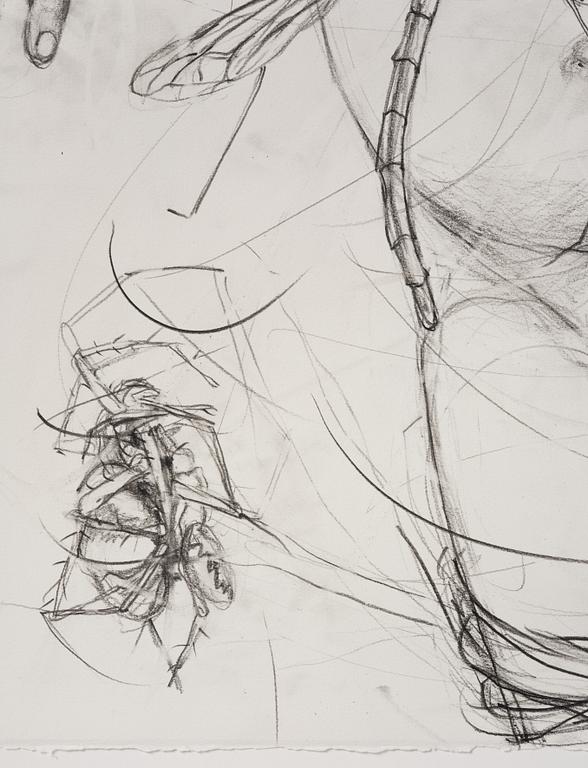 Linn Fernström, "Barn i nät".