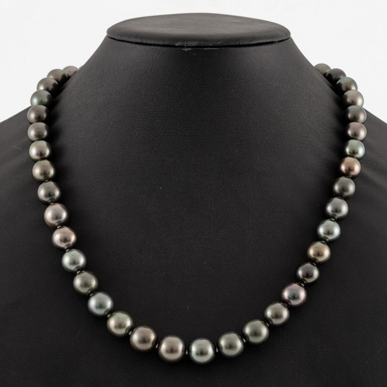 A necklace with cultured Tahitian pearls.