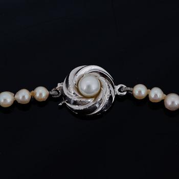 PÄRLCOLLIER, med odlade doserade pärlor.