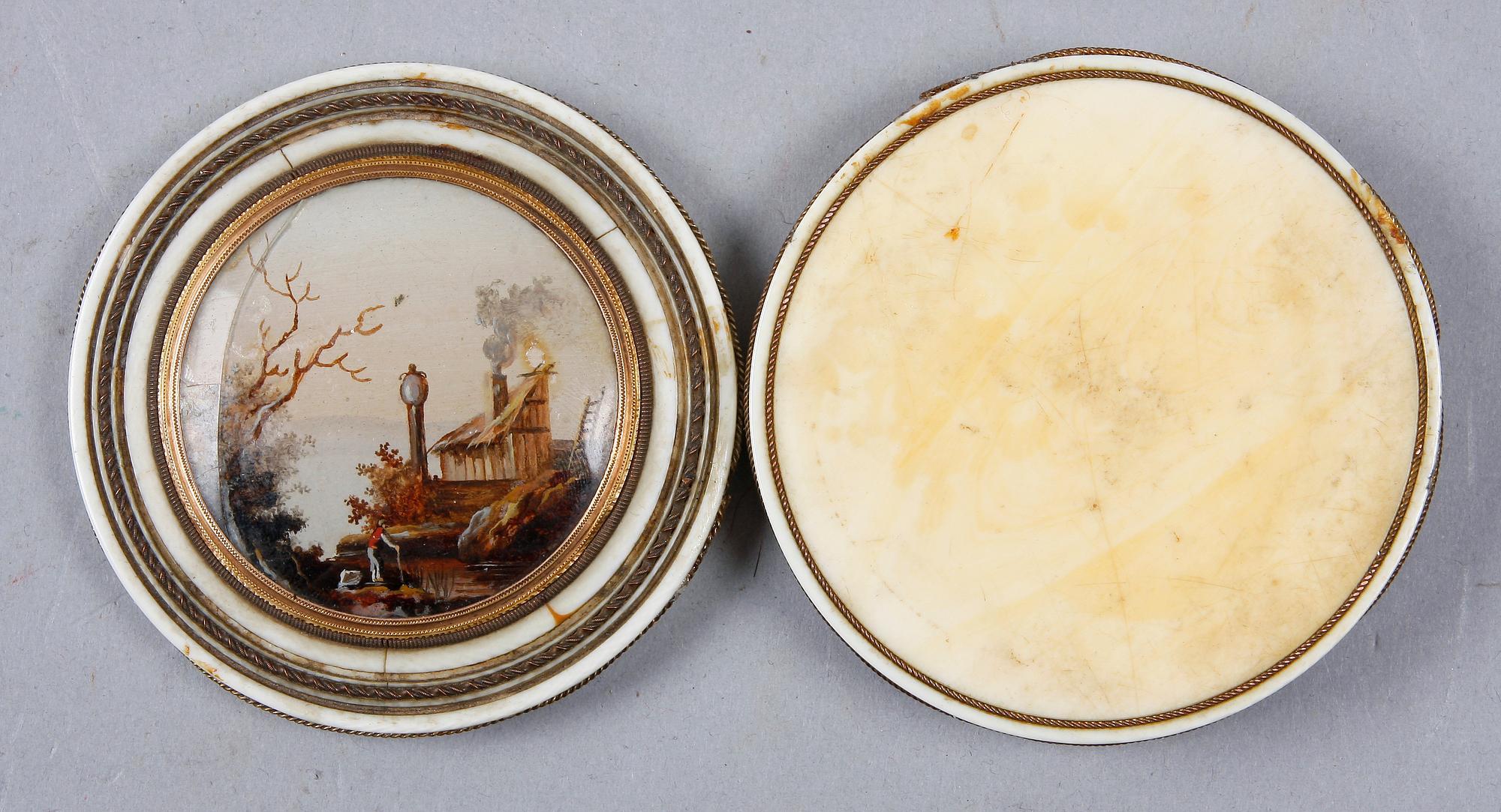 DOSA, ben, sköldpadd, 1800-talets första hälft.