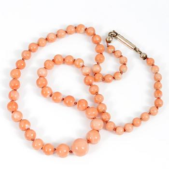 COLLIER, korall, 1900-tal.