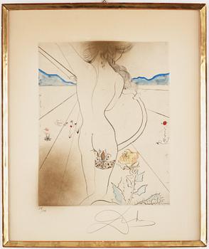 Salvador Dalí, "Nude with Garter" from "Hippies".