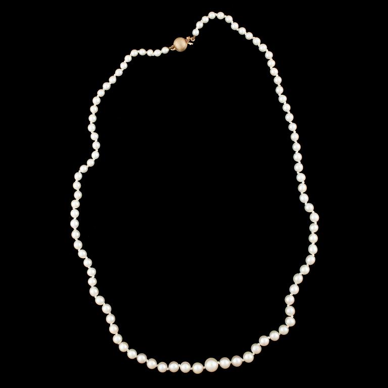 COLLIER, odlade saltvattenspärlor, kullås 18k guld.