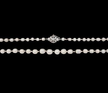 1034. NECKLACE, natural freshwater pearls, 7,0-4,2 mm, clasp with brilliant cut diamonds, tot. app. 0.80 cts. 1930's.