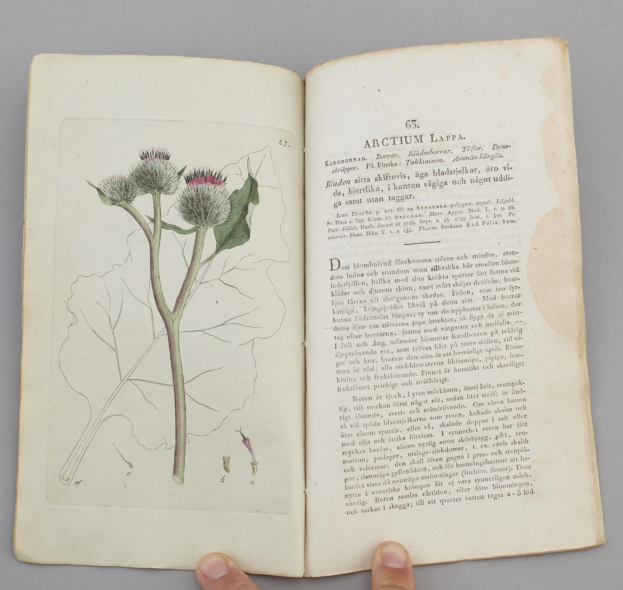 JOHAN WILHELM PALMSTRUCH, "Svensk Botanik, vol I-V. 1803-1805.