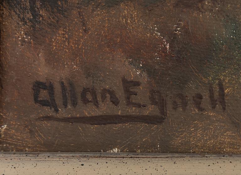 Allan Egnell, En karoliner i strid.