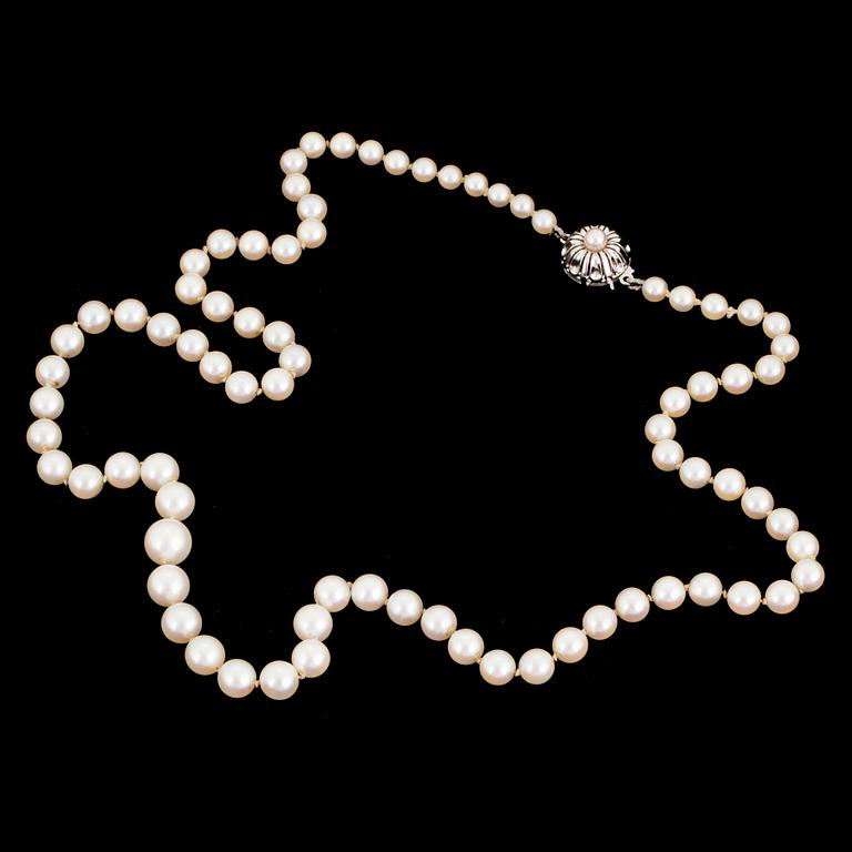 PEARL NECKLACE, graded with silver clasp decorated with a pearl.