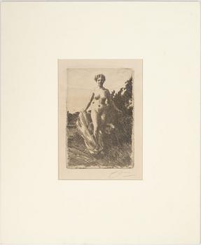 Anders Zorn, etching, 1907, signed in pencil.