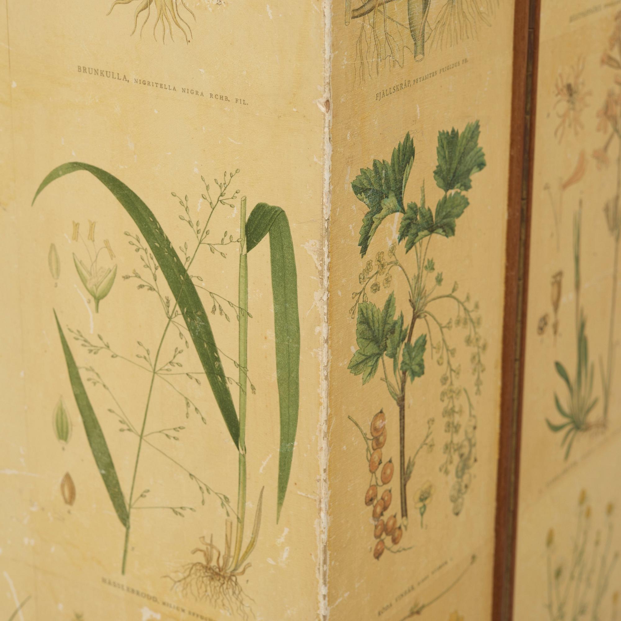Josef Frank, skåp, "Flora", Firma Svenskt Tenn, modell 852, sannolikt 1950-60-tal.