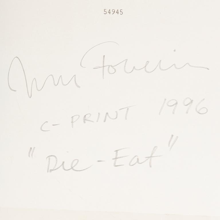 JOHAN FOWELIN, c-print signed and dated 1996 verso.