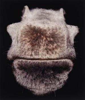 114. Pernilla Zetterman, "Untitled No 8", 2003.