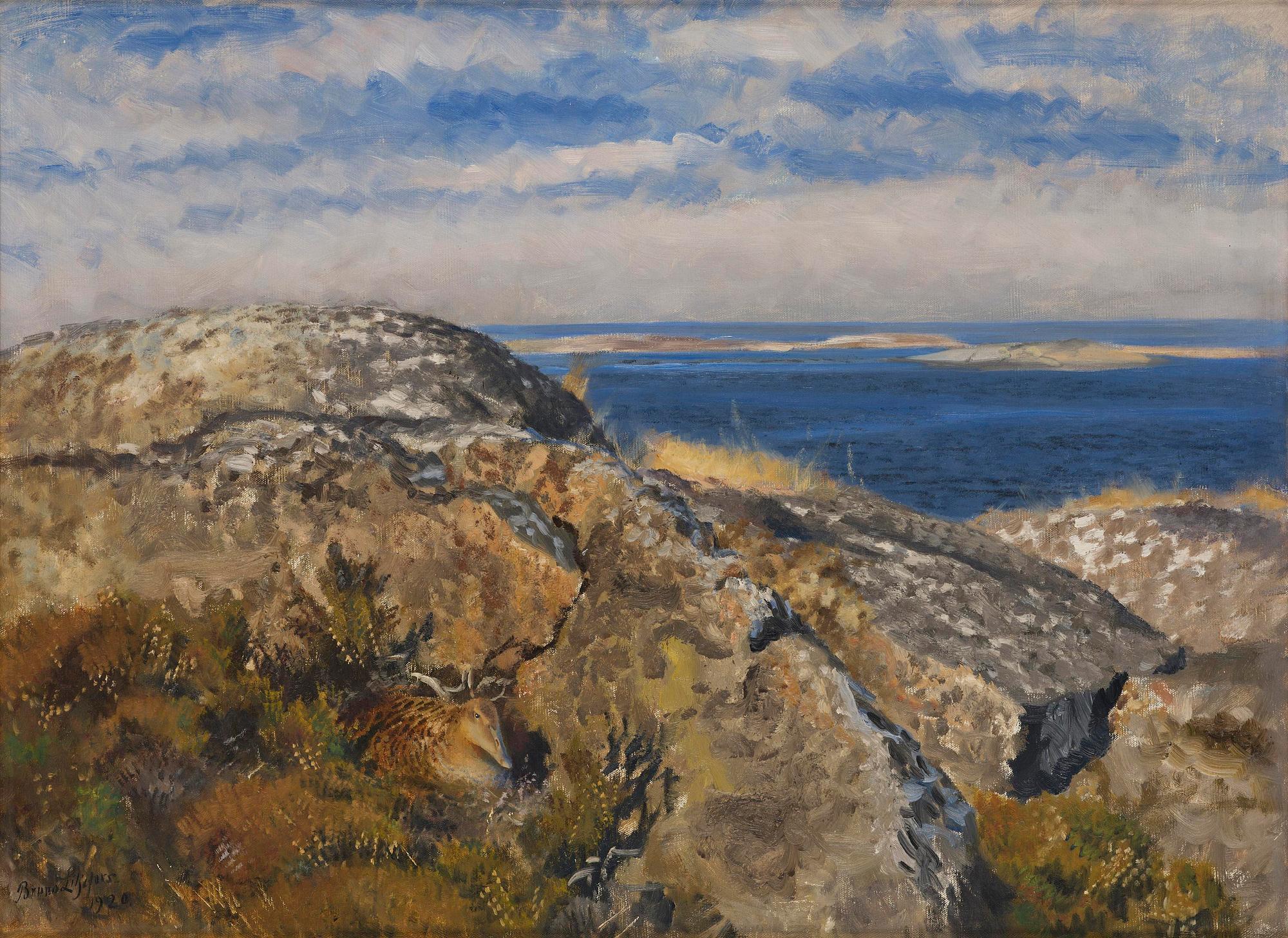 Bruno Liljefors, Brooding eider.