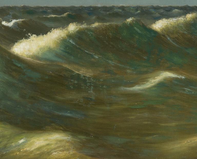 Ferdinand von Wright, Diving Seagull.