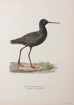 LITOGRAFIER, 6 st, efter von Wright, A. Börtzell, Stockholm.