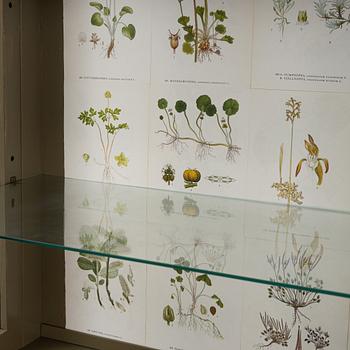 Vitrinskåp, 1900-talets mitt.