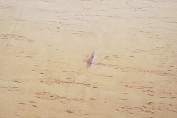 BORD, "Superellips". Design Bruno Mathsson och Piet Hein.