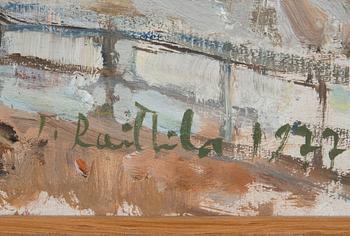 Tapani Raittila, UTSIKT ÖVER HELSINGFORS.