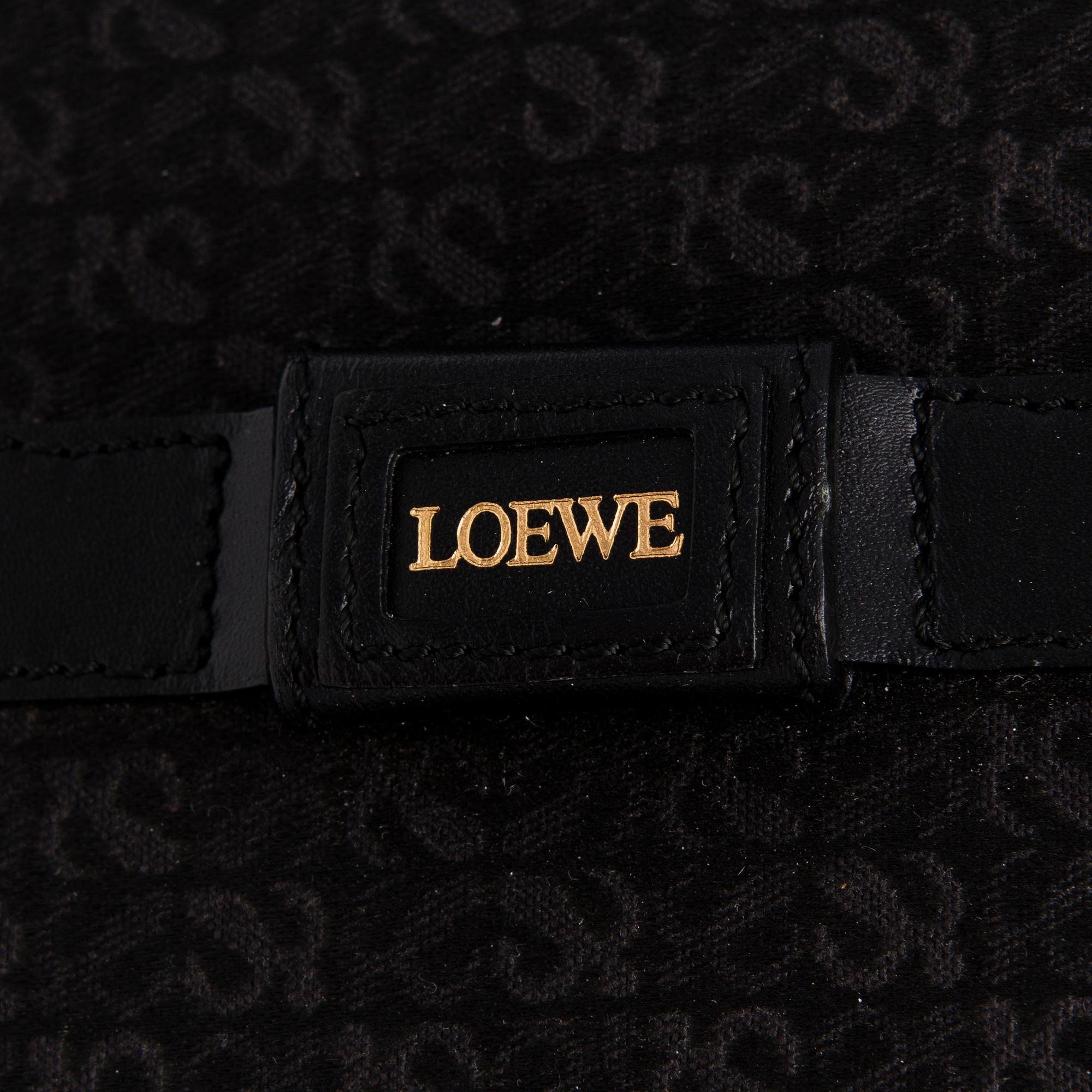 LOEWE, PORTFÖLJ.