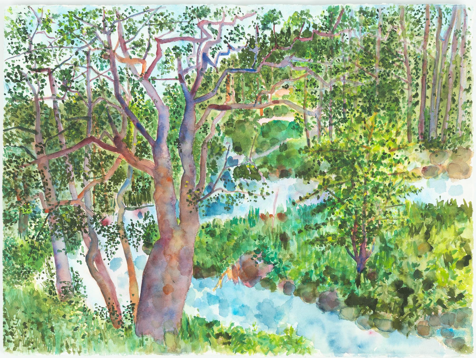 Renate Bauer, Landskap.