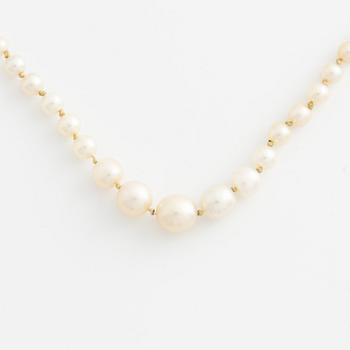 Pearl necklace, graduated cultured pearls, clasp in 18K gold.