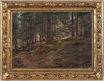 Berndt Lindholm, LJUS I SKOGEN.