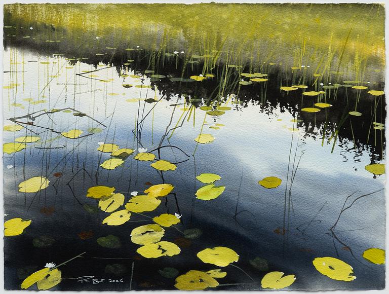 Peter Eugén, View over a lake with water lilies.