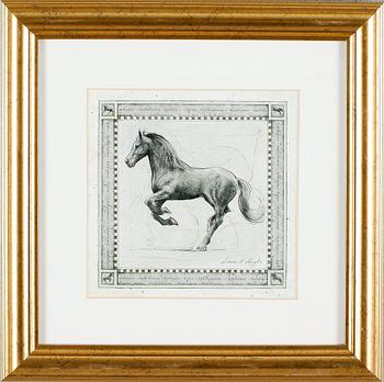 TAVLOR, 13 st, tryck, 1900-talets andra hälft.