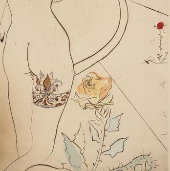 Salvador Dalí, "Nude with Garter" ur "Hippies".