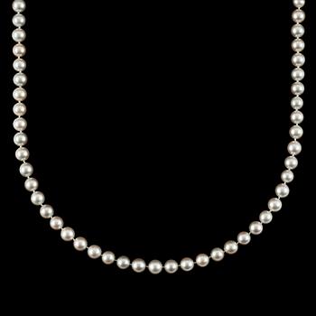 A cultured pearl necklace. Possibly small cultured South sea pearls.