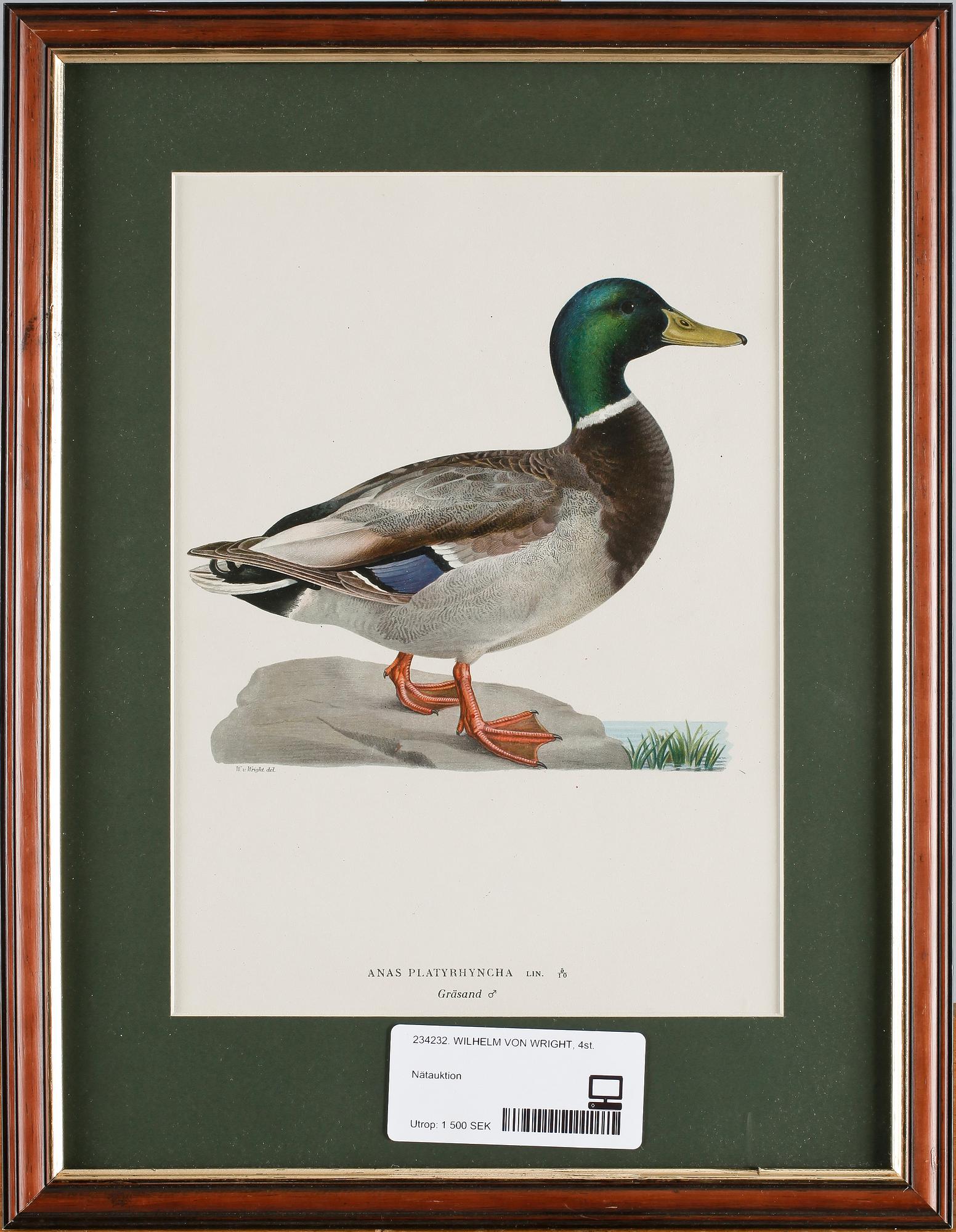 PARTI LITOGRAFISKA TRYCK, 4 st, efter Wilhelm von Wright, 1900-tal.