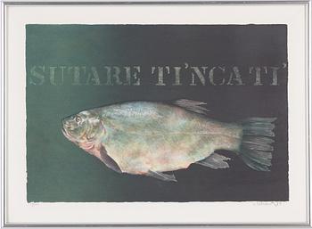 Philip von Schantz, "Sutare Ti'ncati".