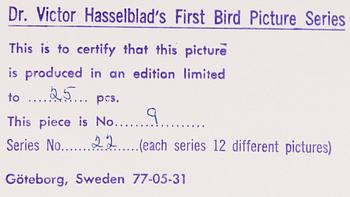 VICTOR HASSELBLAD, fotografier, 12 st, signerade, daterade och numrerade, ur serien nr 22.