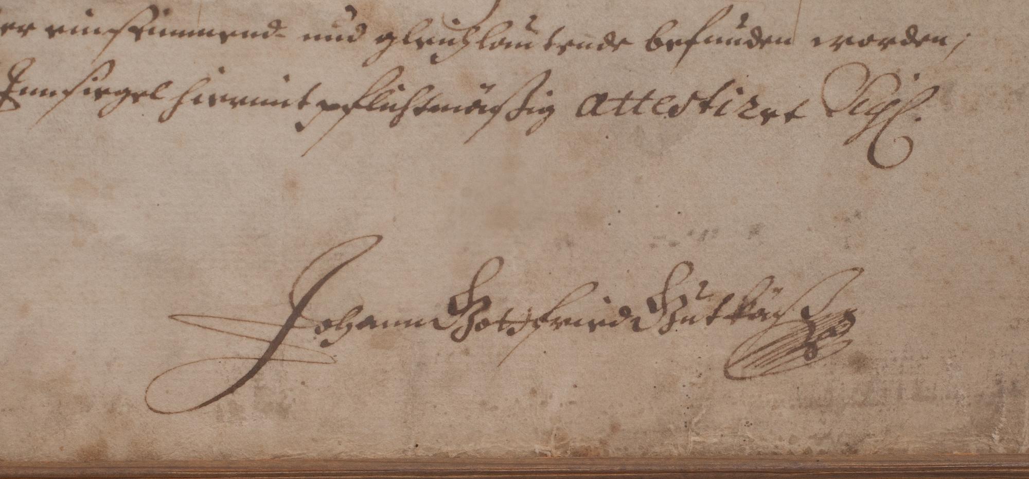 SLÄKTTRÄD, von Seyffertitz, Tyskland. Bär datering Dresden? um 22 augusti anno 1731.