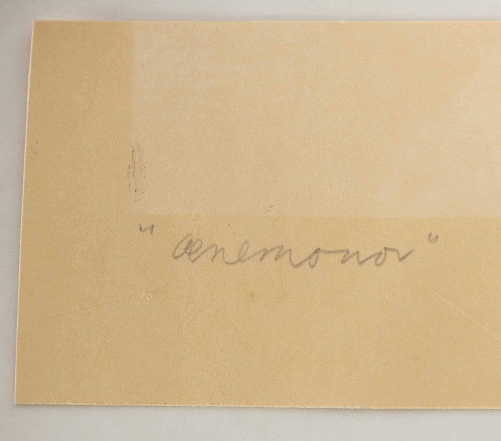 Maja Fjaestad, "Anemones".