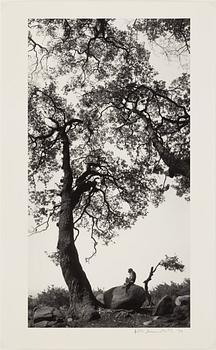 Pentti Sammallahti, "Swayambhunath, Nepal, 1994".