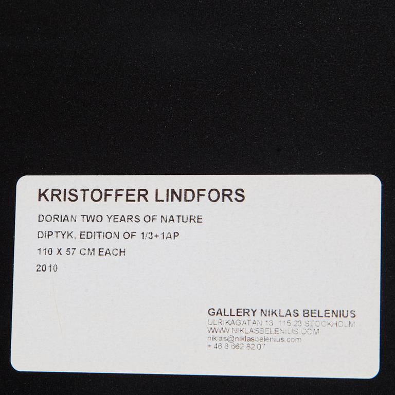 KRISTOFFER LINDFORS, diptych, color photograph mounted on plexi glass, signed and dated.