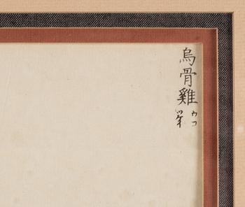 Three woodblock sheets, including Hokusai, Japan, 19th century.