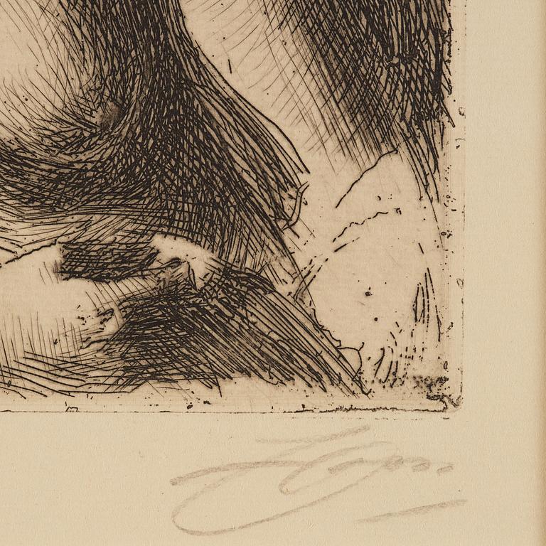Anders Zorn, "Byst".
