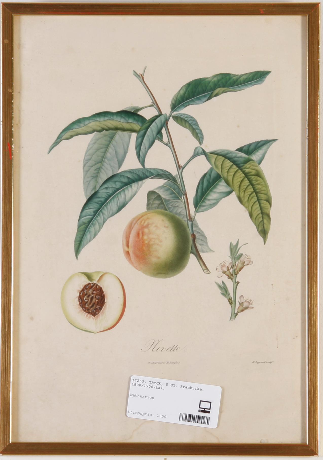 TRYCK, 5 ST. Frankrike, 1800/1900-tal.